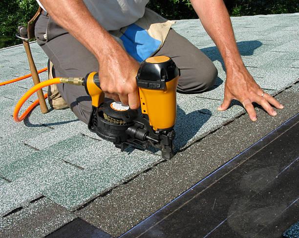 Best Roof Gutter Cleaning  in Tiptonville, TN