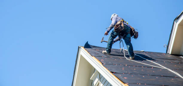 Professional Roofing Contractor in Tiptonville, TN